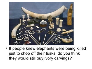 If people knew elephants were being killed just to chop off their tusks, do you think they would still buy ivory carvings?  