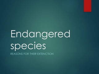 Understanding Endangered Species and Causes of Their Extinction | PPTX