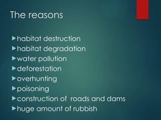 Understanding Endangered Species and Causes of Their Extinction | PPTX