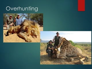 Understanding Endangered Species and Causes of Their Extinction | PPTX