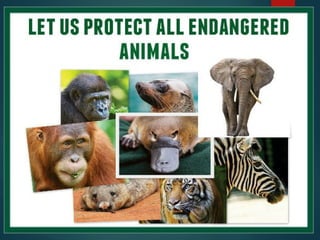 Understanding Endangered Species and Causes of Their Extinction | PPTX