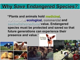 “Plants and animals hold medicinal,
agricultural, ecological, commercial and
aesthetic/recreational value. Endangered
species must be protected and saved so that
future generations can experience their
presence and value.”
Why Save Endangered Species?
 