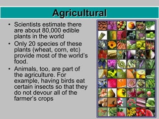 • Scientists estimate there
are about 80,000 edible
plants in the world
• Only 20 species of these
plants (wheat, corn, etc)
provide most of the world’s
food.
• Animals, too, are part of
the agriculture. For
example, having birds eat
certain insects so that they
do not devour all of the
farmer’s crops
Agricultural
 