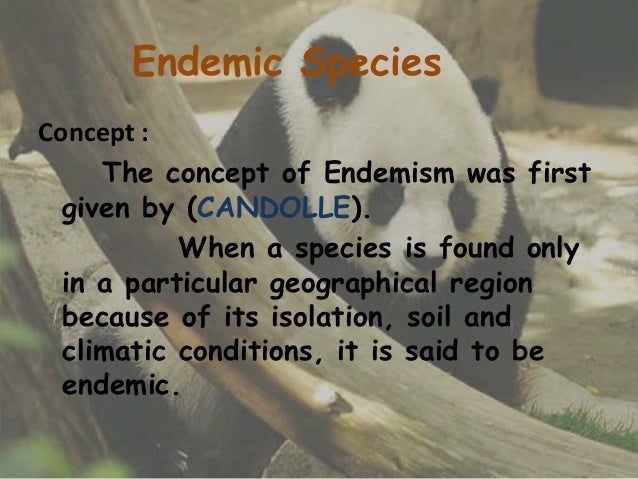 Endangered and endemic species of india pdf picture