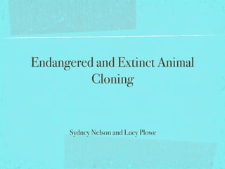 Endangered and Extinct Animal
          Cloning


      Sydney Nelson and Lucy Plowe
 