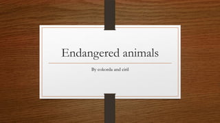 Endangered animals
By cokorda and ciril

 