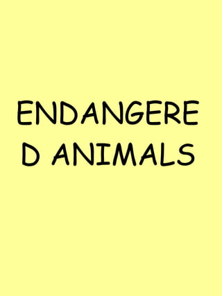 ENDANGERED ANIMALS 
