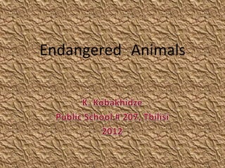 Endangered Animals

 