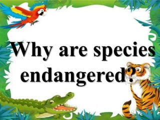 Why are species
endangered?
 