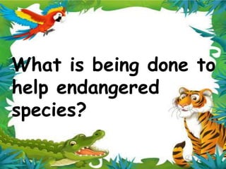 What is being done to
help endangered
species?
 