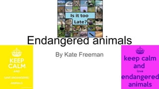 Endangered animals
By Kate Freeman
 