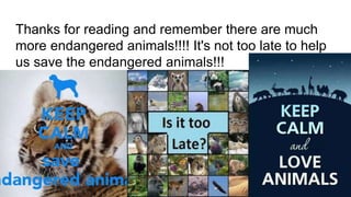 Thanks for reading and remember there are much
more endangered animals!!!! It's not too late to help
us save the endangered animals!!!
 