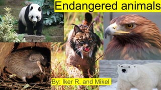Endangered animals
By: Iker R. and Mikel
 