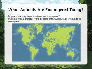 What Animals Are Endangered Today?
There are many animals, from all parts of the world, that are said to be
endangered.
Do you know why these creatures are endangered?
 