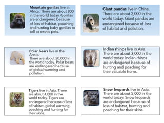 Endangered animals | PPTX