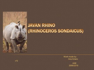 Javanrhino                 (Rhinocerossondaicus) Workmadeby:                                                                                                    Ana Amaro nº2                                                                                                            AAE                                                                                                     2009/2010 