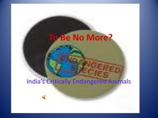 To Be No More?



India’s Critically Endangered Animals
 