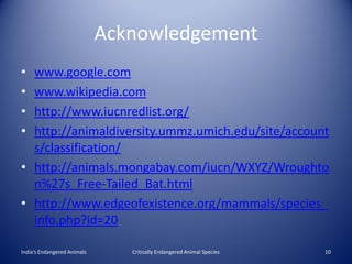 Acknowledgement
• www.google.com
• www.wikipedia.com
• http://www.iucnredlist.org/
• http://animaldiversity.ummz.umich.edu/site/account
  s/classification/
• http://animals.mongabay.com/iucn/WXYZ/Wroughto
  n%27s_Free-Tailed_Bat.html
• http://www.edgeofexistence.org/mammals/species_
  info.php?id=20

India’s Endangered Animals      Critically Endangered Animal Species   10
 