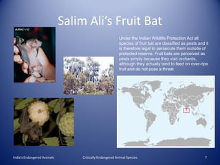 Salim Ali’s Fruit Bat
                                                          Under the Indian Wildlife Protection Act all
                                                          species of fruit bat are classified as pests and it
                                                          is therefore legal to persecute them outside of
                                                          protected reserve. Fruit bats are perceived as
                                                          pests simply because they visit orchards,
                                                          although they actually tend to feed on over-ripe
                                                          fruit and do not pose a threat




India’s Endangered Animals        Critically Endangered Animal Species                                     7
 