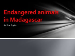 Endangered animals
in Madagascar
By Dan Taylor
 