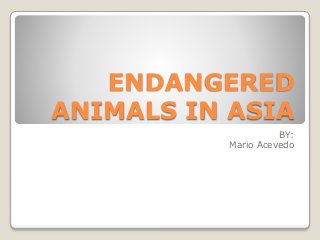 ENDANGERED
ANIMALS IN ASIA
BY:
Mario Acevedo
 