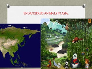 ENDANGERED ANIMALS IN ASIA.
 