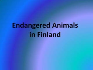 Endangered Animals
in Finland

 