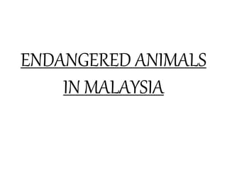 ENDANGERED ANIMALS
IN MALAYSIA
 