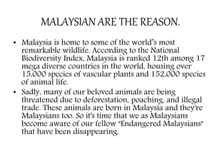 MALAYSIAN ARE THE REASON.
• Malaysia is home to some of the world’s most
remarkable wildlife. According to the National
Biodiversity Index, Malaysia is ranked 12th among 17
mega diverse countries in the world, housing over
15,000 species of vascular plants and 152,000 species
of animal life.
• Sadly, many of our beloved animals are being
threatened due to deforestation, poaching, and illegal
trade. These animals are born in Malaysia and they're
Malaysians too. So it's time that we as Malaysians
become aware of our fellow "Endangered Malaysians"
that have been disappearing.
 