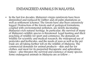 ENDANGERED ANIMALS IN MALAYSIA
• In the last few decades, Malaysia's virgin rainforests have been
diminished and replaced by rubber and oil palm plantations as
well as settlement schemes. The forests have also been extensively
logged. Destruction of the forests and of geological formations,
coupled with environmental pollution, are slowly decimating
Malaysia's rich natural heritage. In particular, the survival of many
of Malaysia's wildlife species is threatened. Legal hunting and illicit
poaching of wildlife for sport and commerce, the demands on
wildlife for scientific and medical research, the widespread use of
pesticides and herbicides, and the needs of zoos as well as the pet
trade are all taking further toll on the wildlife of Malaysia. The
commercial demands for animal products—skin and fur for
clothes, and meat for its purported therapeutic and aphrodisiac
values—also threaten the survival and existence of many species.
Some endangered animals in Malaysia are as follow :-
 