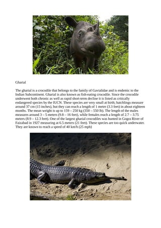 Endangered animals of india | PDF