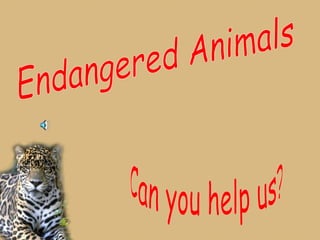 Endangered Animals Can you help us? 