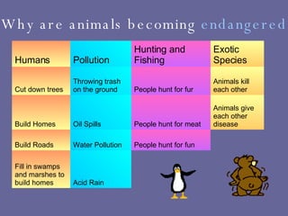 Why are animals becoming  endangered ? Acid Rain Fill in swamps and marshes to build homes People hunt for fun Water Pollution Build Roads Animals give each other disease People hunt for meat Oil Spills Build Homes Animals kill each other People hunt for fur Throwing trash on the ground Cut down trees Exotic Species Hunting and Fishing Pollution Humans 