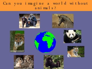 Can you imagine a world without animals? 
