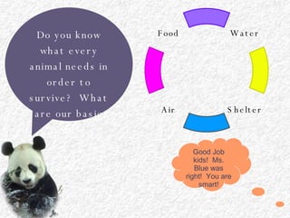 Do you know what every animal needs in order to survive?  What are our basic needs? Good Job kids!  Ms. Blue was right!  You are smart! Water Air Food Shelter Water Shelter Air Food 