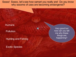 Sssss!  Sssoo, let’s see how ssmart you really are!  Do you know why sssome of usss are becoming endangered? Very good but now can you tell me why these things are happening? Humans Pollution Hunting and Fishing Exotic Species 