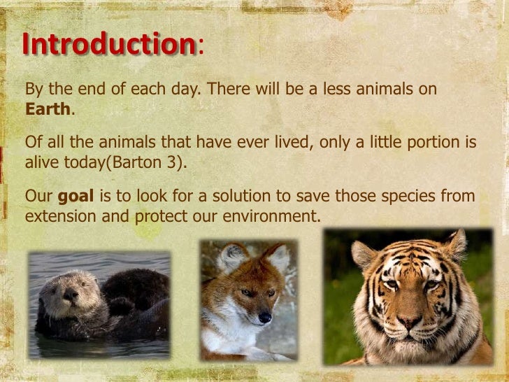 Animal essay. Проект endangered animals. Project about animals. Эссе на тему what can we do to save endangered animals?. Виллоу проект животные.