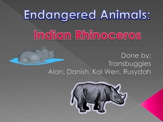 Endangered Animals: Indian Rhinoceros Done by: Transbuggies Alan, Danish, Kai Wen, Rusydah 