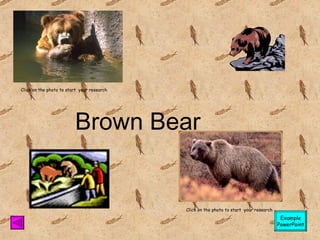 Brown Bear Click on the photo to start  your research Click on the photo to start  your research Example PowerPoint 