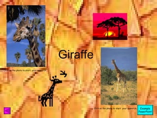 Giraffe Click on the photo to start  your research Click on the photo to start  your research Example PowerPoint 