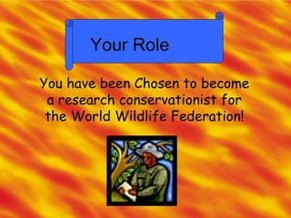 Your Role You have been Chosen to become a research conservationist for the World Wildlife Federation! 