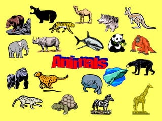 Animals 