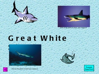 Great White Shark Click on the photo to start your research Click on the photo to start  your research Example PowerPoint 