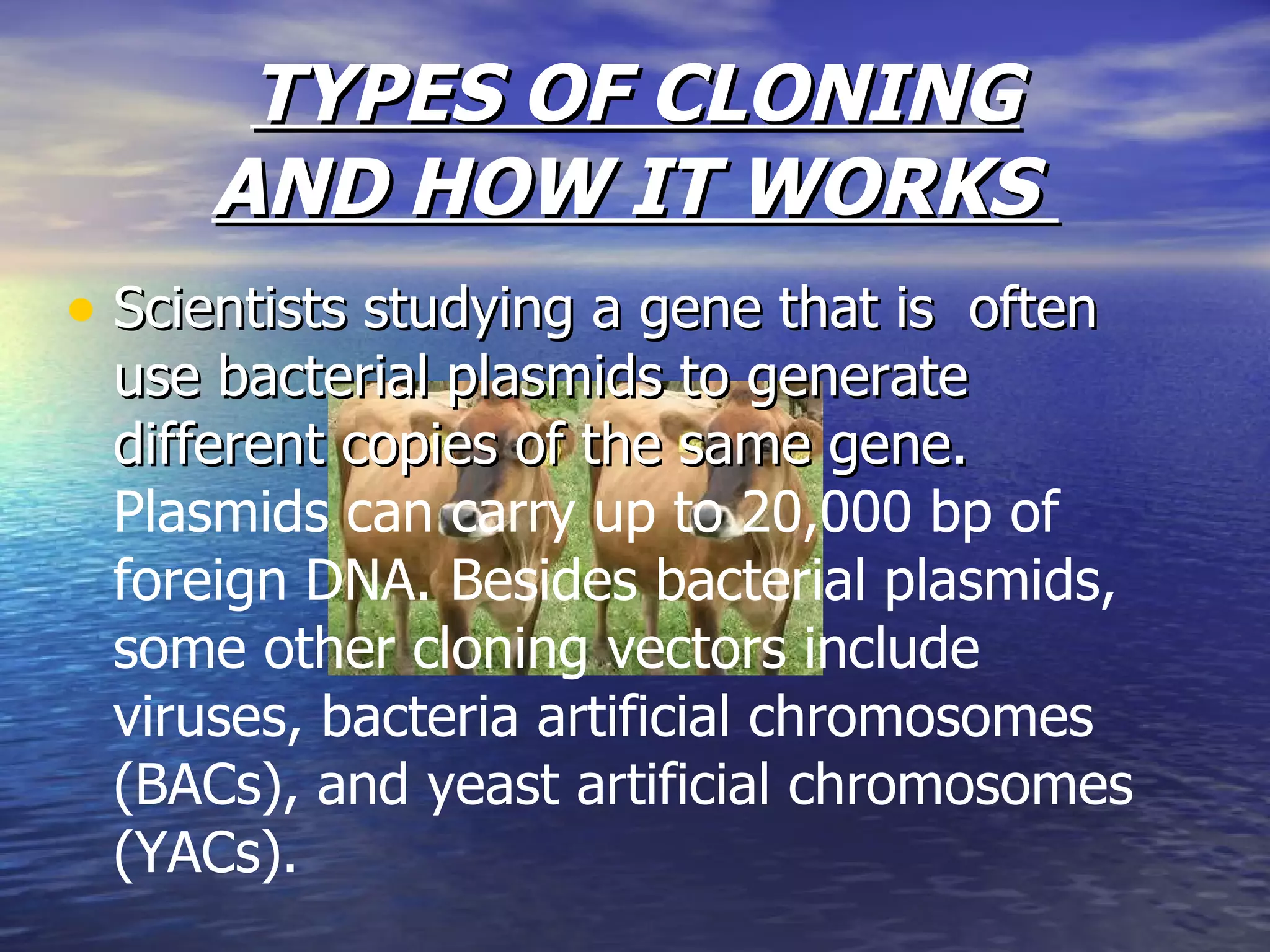 TYPES OF CLONING AND HOW IT WORKS  Scientists studying a gene that is  often use bacterial plasmids to generate different copies of the same gene.  Plasmids can carry up to 20,000 bp of foreign DNA. Besides bacterial plasmids, some other cloning vectors include viruses, bacteria artificial chromosomes (BACs), and yeast artificial chromosomes (YACs).  