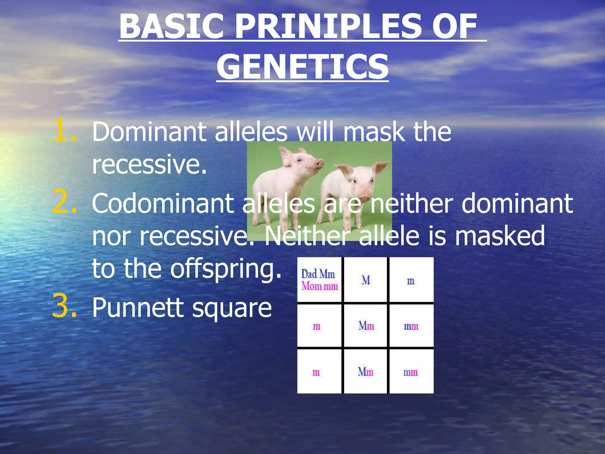 BASIC PRINIPLES OF  GENETICS Dominant alleles will mask the recessive. Codominant alleles are neither dominant nor recessive. Neither allele is masked to the offspring. Punnett square 