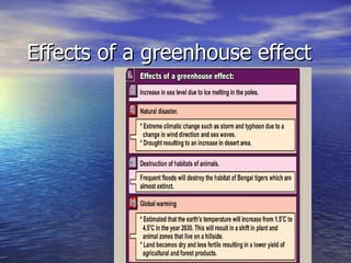 Effects of a greenhouse effect 