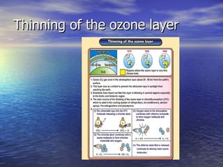 Thinning of the ozone layer 