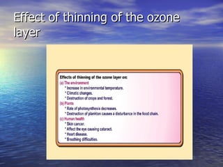 Effect of thinning of the ozone layer 