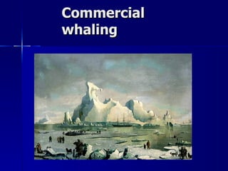 Commercial whaling 