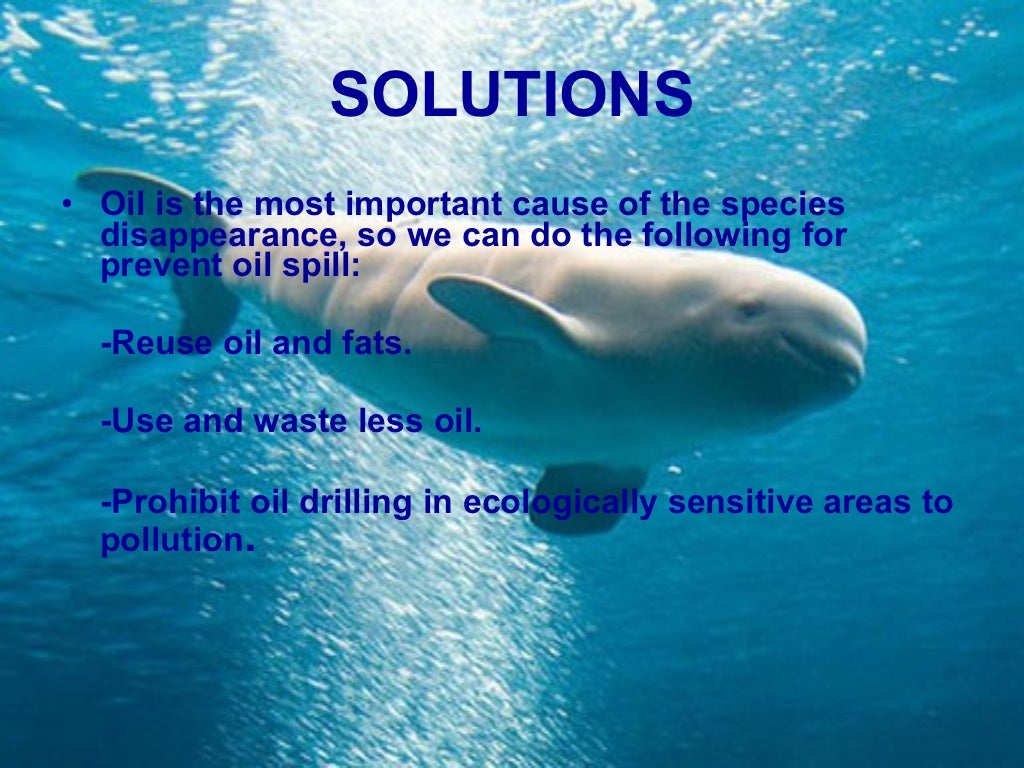 Endangered marine animals